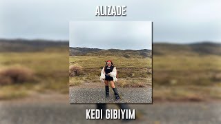 Alizade - Kedi Gibiyim (Speed Up) Resimi