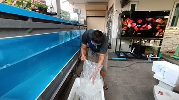 T สาย 2 - งาน O4FS อ่างไฟเบอร์ 4 เมตรพร้อมเชื่อมระบบตู้ปลา 2 ชั้น อุปกรณ์งานลมเต็มระบบ Set 3