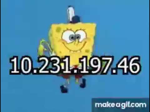 Ip leak. IP address meme. Мемы про айпи. IP адрес Мем. Spongebob IP meme.