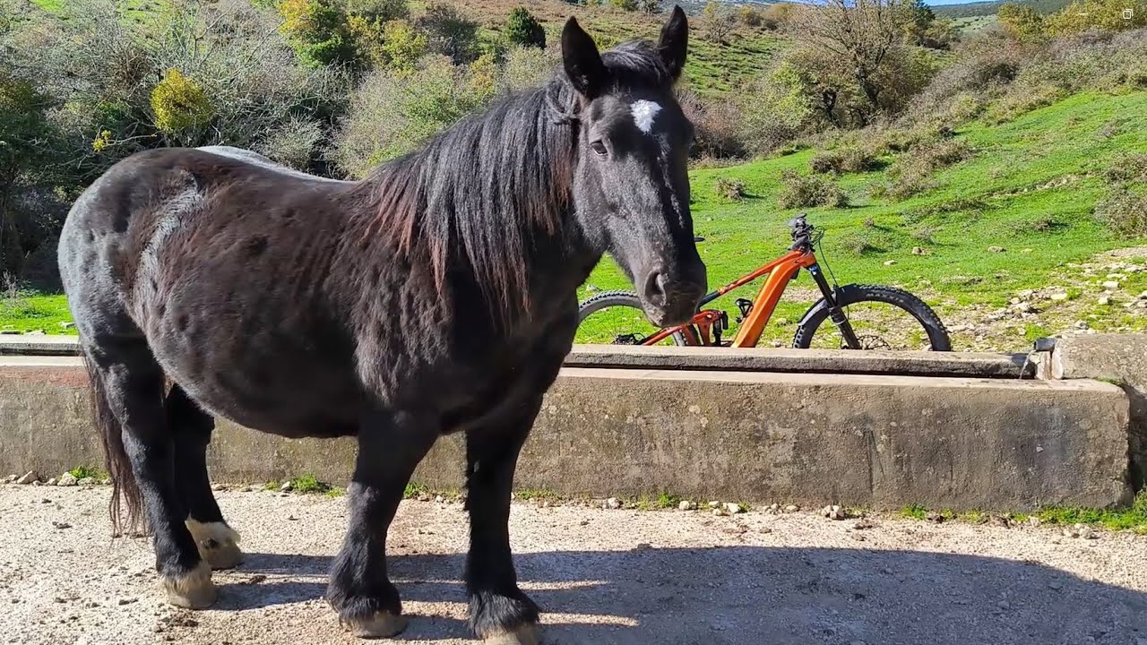Senosiain y subida a la Sierra de Andian, Navarra