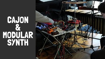 Cajon with Microvolt 3900 and Analog Replicator - Modular Synth Experiment 2020