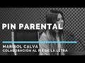 ¿QUÉ ES EL PIN PARENTAL?