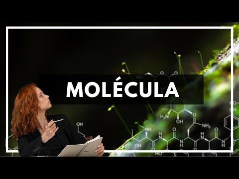 Video: ¿Son todas las moléculas de agua iguales?