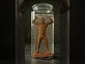 Unbelievable Alex Pereira Sculpture Restoration to Gold!