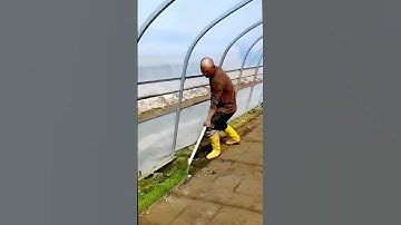 The process of eradicating seedlings - good tools can improve work efficiency