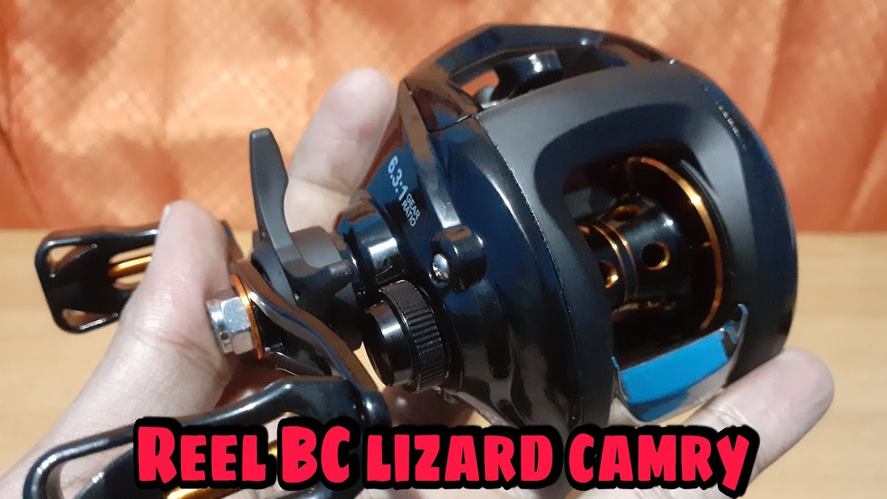 shimano catfish rod Ripsaw 10' Casting The sensitive tip action TC Lures Swim Jig Types: Shaft Rigging Style:Matte Black/Blue Mirror (Glass)
