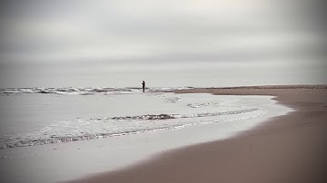 Thumbnail of Untouchable - Mars Lasar - 11.04 Panorama