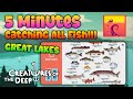 All fish in great lakes  creatures of the deep fishing