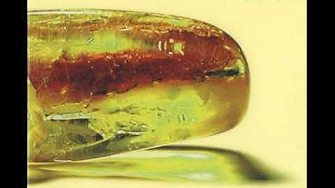 Patchwork - Gleitfilm [IDM/dub] (2000)