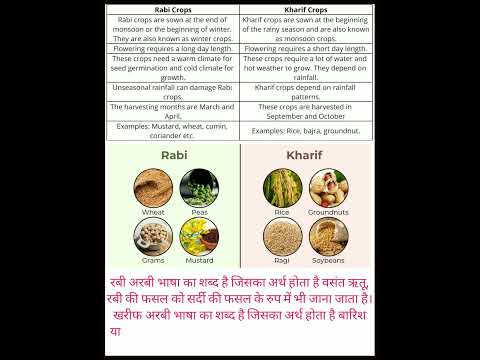 Difference Between Rabi And Kharif Crops रबी और खरीफ फसल में अंतर