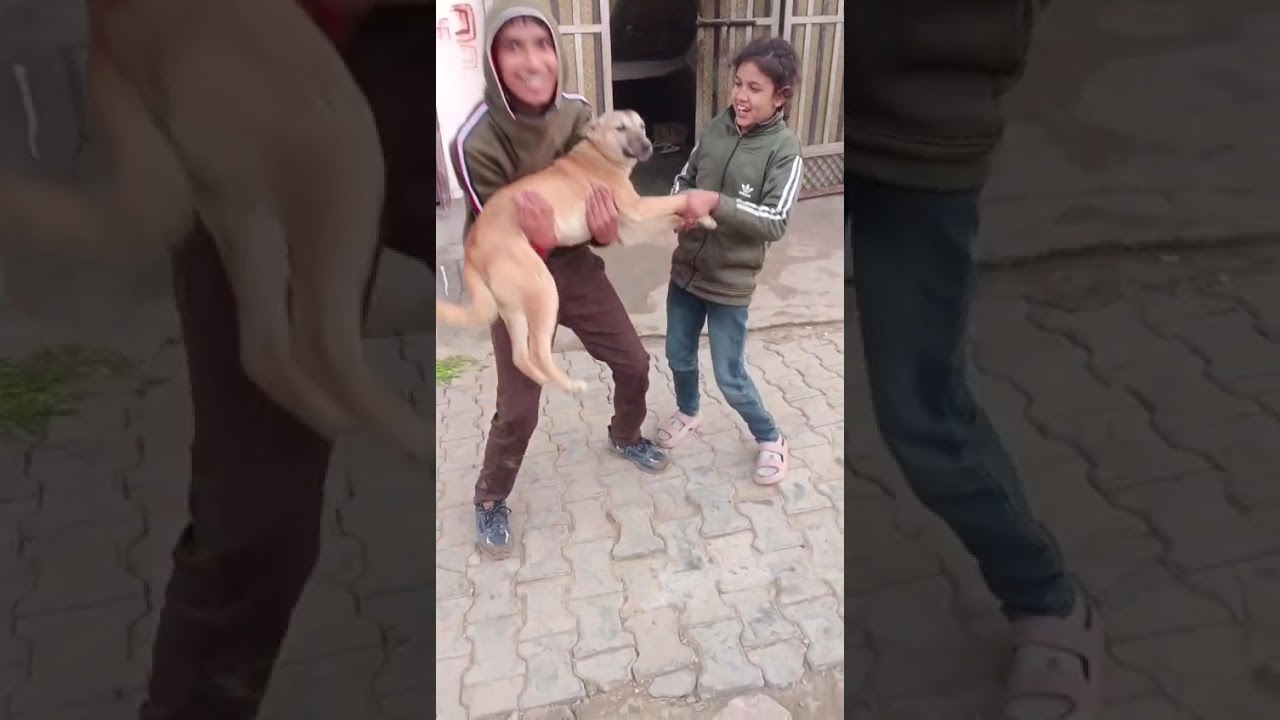 गांव का देसीलुक और देसीरहन सहन 🙏🙏👍👍🎉🎉