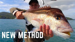 Fishing a new method | Big Snapper fishing New Zealand | Micro jig & softbait screenshot 1