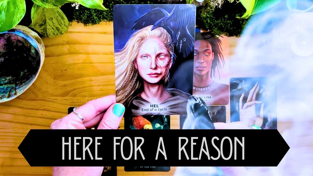 this found you for a reason