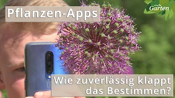 Welche Pflanzenbestimmungs App ist die beste?