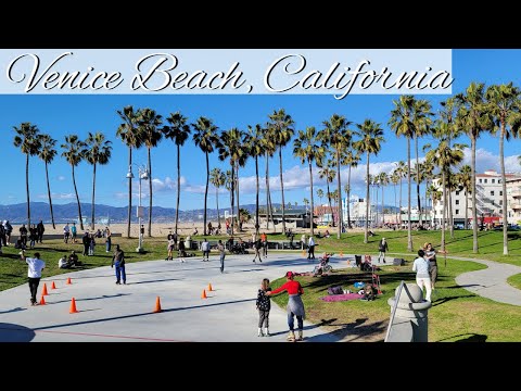 Video: Venice Beach: qué hacer y dónde ir