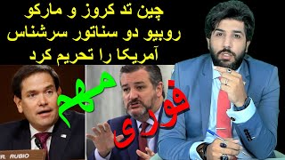 فوری: چین تد کروز و مارکو روبیو دو سناتور سرشناس آمریکا را تحریم کرد_رودست