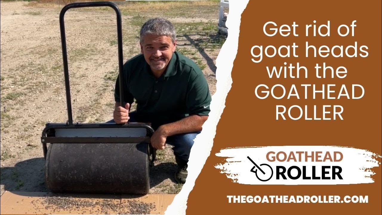 Meet the Goathead RollerThe Goathead solution! YouTube