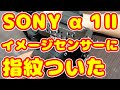 【悲報】Sony α1Ⅱのイメージセンサーに指紋がついてソニーのサービスステーションに持ち込んでの気づき