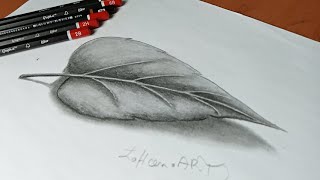 تعلم رسم ورقة شجر | رسم ورقة شجر بقلم الرصاص | رسم ثلاثي الابعاد | How to draw a Leaf | Leaf drawing