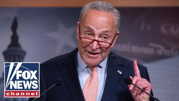 Disgrace Gop Rep Rips Chuck Schumer Over Israel Comments