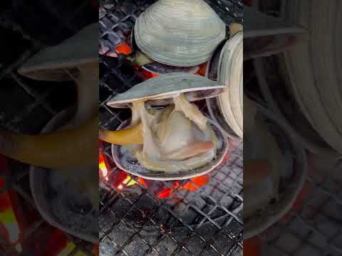 大アサリを焼いてみた🔥I tried grilling large clams🔥#asmr  #大アサリ #large clams