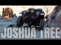 QUICK FLICKS: Joshua Tree - The Ultimate 24hrs