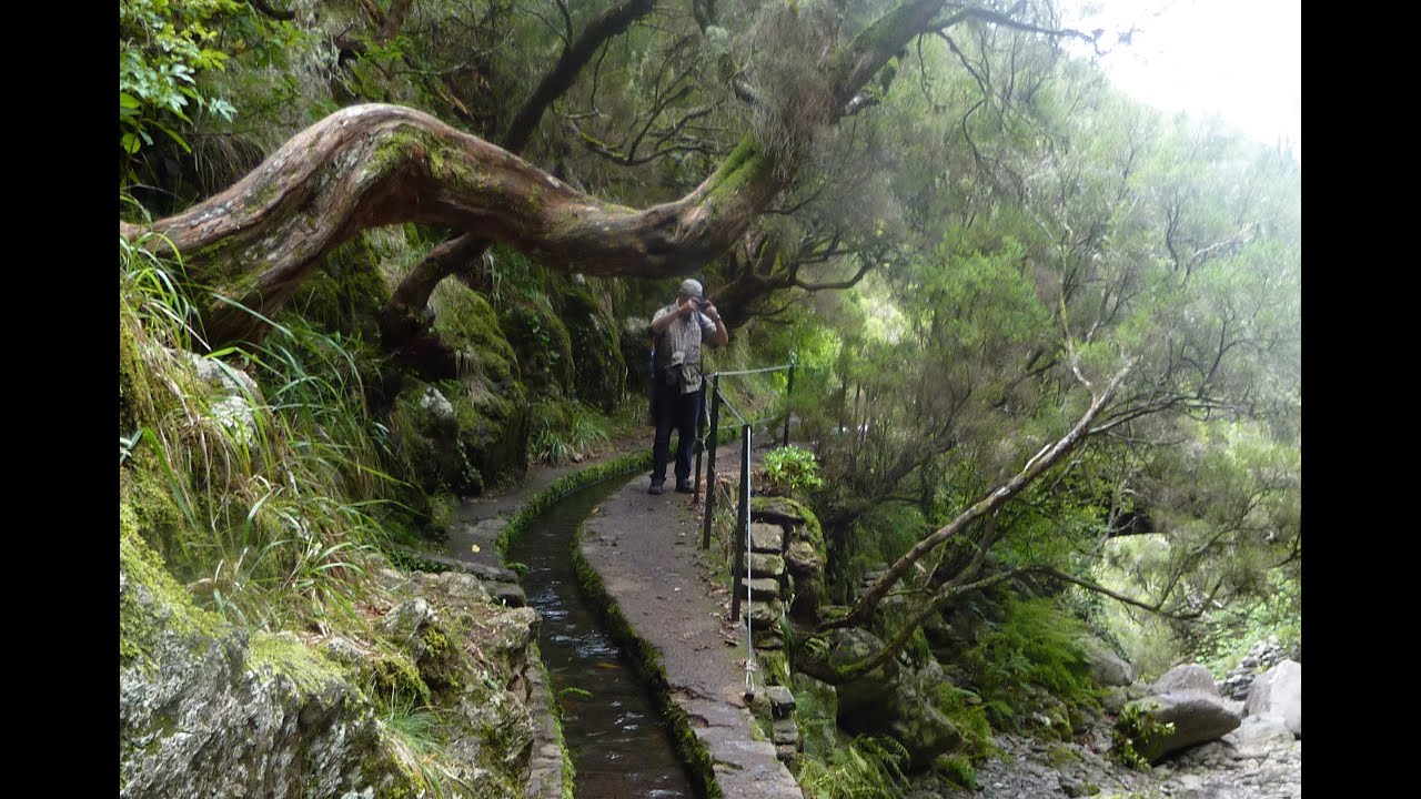 Madeira, Levada hiking to Natural Heritage Site