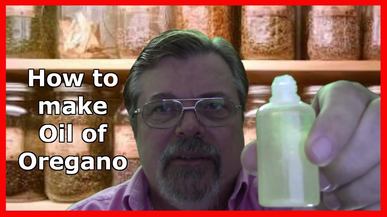 How To Make Oil Of Oregano at home to combat colds and flues YouTube