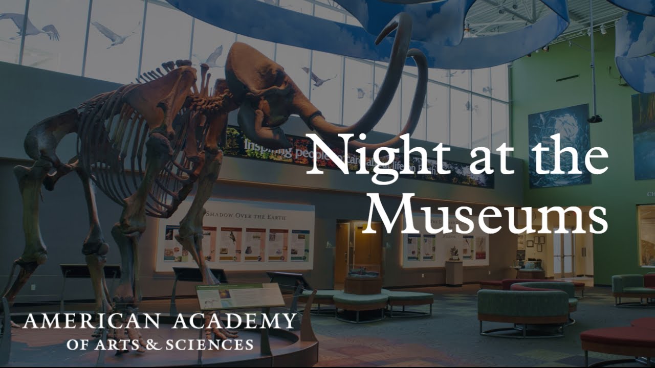 Night at the Museums YouTube