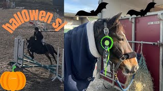 Halloween sj | MD equestrian _