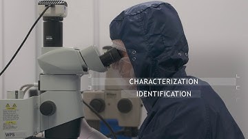 West Analytical Services: Simplify the Journey from Molecule to Market