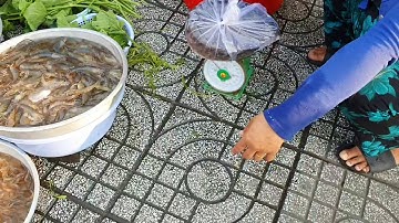 Đi chợ và chế biến Combo món cá lóc kho dưa chua + canh chua thập cẩm.