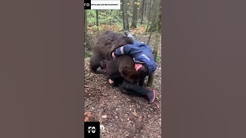 Brown Grizzly Bear playing with humans🐻