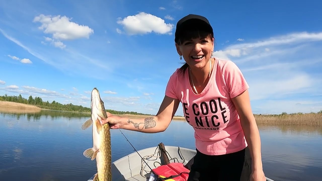 Ručeņu, līdaku cope no laivas Burtnieku ezerā, Salacas upes sākumā. 🐠🐠🐠