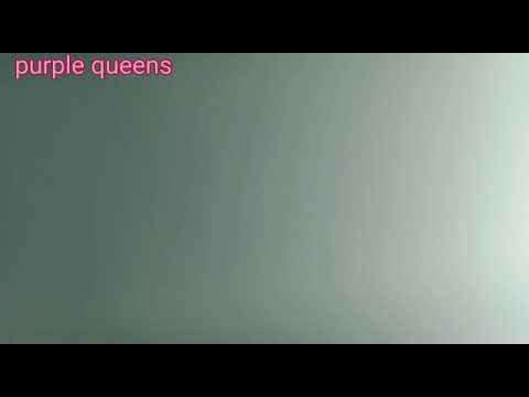 Doodle Art transitions | fish doodle art| transition video|purple queens