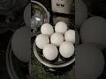 Dash everyday egg cooker easy hard boiled eggs bydash