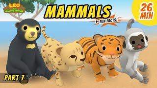 Mammals (Part 7/8)  Fun, Exciting Animals Stories for Kids | Educational | Leo the Wildlife Ranger