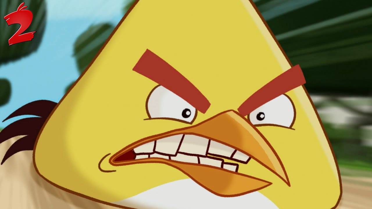 Чак энгри бердз картинки