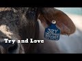 YETI Presents: Try and Love