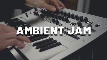 Ambient jam with Korg Minilogue + Valhalla DSP