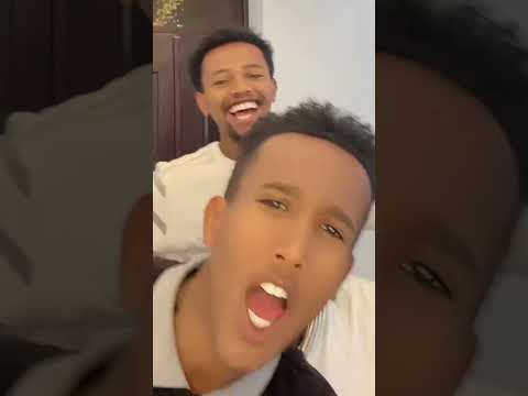 Ethiopiantiktok Aflafikir Liyucinema Donkey Dinklijoch Seifufantahun Abelbirhanuየወይኗ