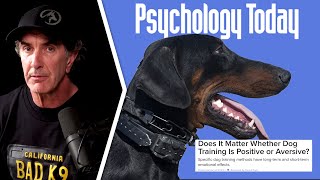 Does it Matter Whether Dog Training is Positive or Aversive?  Psychology Today MY RETORT