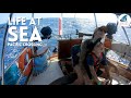 FAMILY LIFE at SEA | Pacific Crossing PT 3 | Ep 102