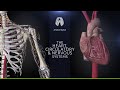 Anatomyka app 19  examine the human heart in highest details