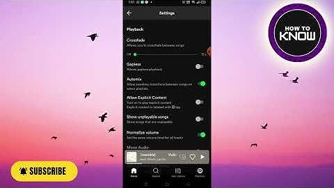 How to Filter out Explicit Songs on Spotify on Android