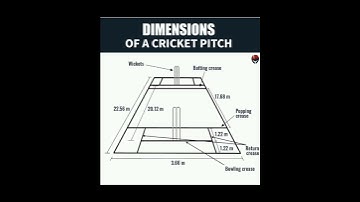 Dimensions of cricket pitch.#cricket #pitch #cricketlovers #cricketfacts #sports