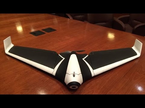single wing drone