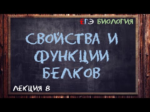 Л.8 | СВОЙСТВА И ФУНКЦИИ БЕЛКОВ | ОБЩАЯ БИОЛОГИЯ ЕГЭ