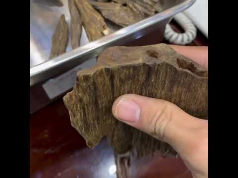 عود كلمنتان قديم نوادر العود ابو سعد 0549499990