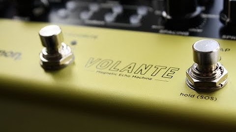 Strymon Volante  -  live looping (sound on sound mode)